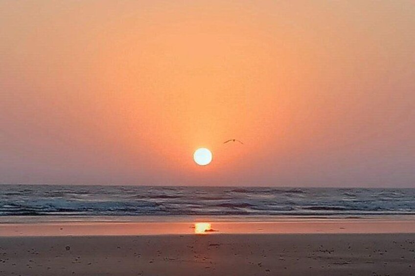 A sunset over a beach with the sun near the horizon and birds flying. 2