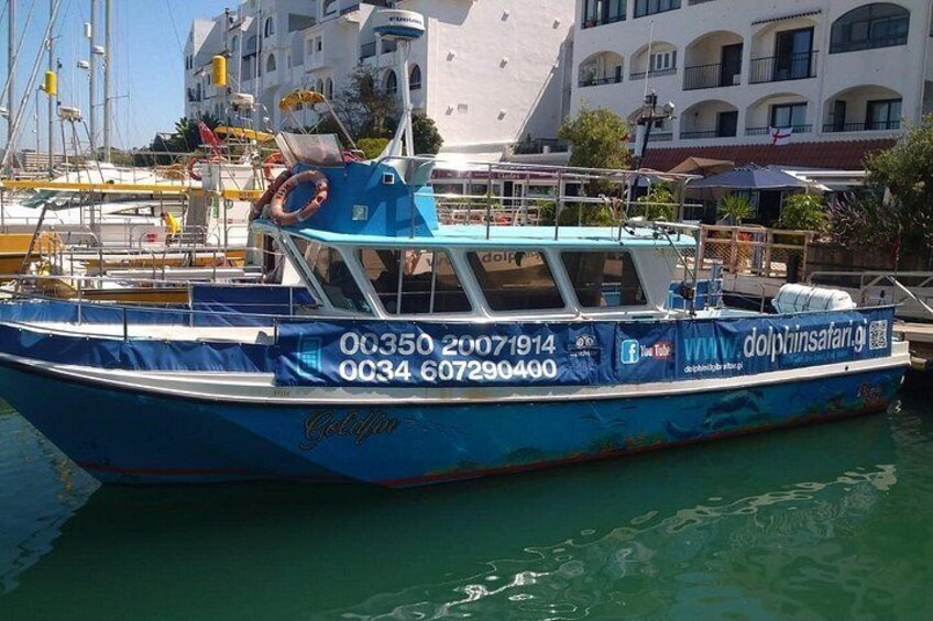Dolphin Watching in Gibraltar with Dolphin Safari 2