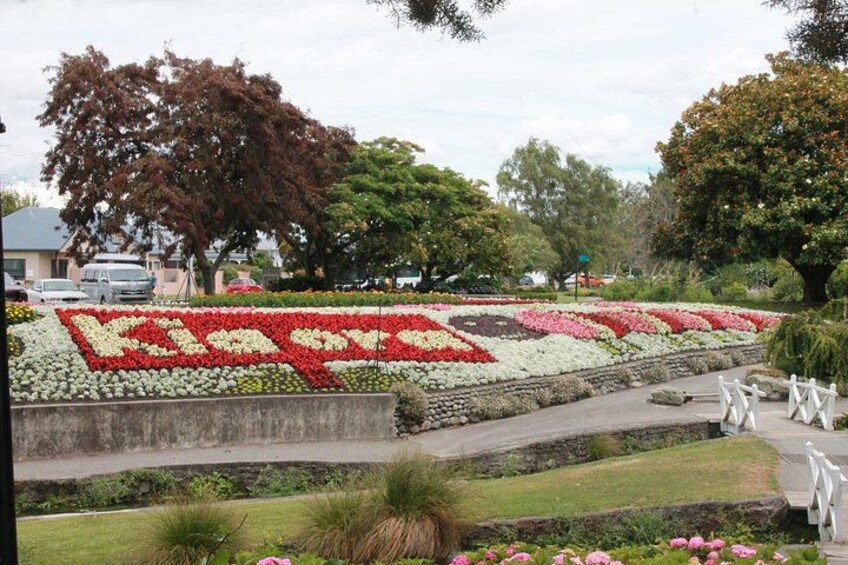 Picton & Blenheim Scenic Tour 4