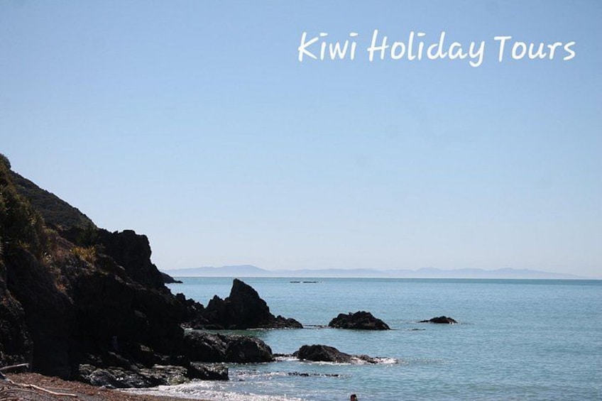 Picton & Blenheim Scenic Tour 3