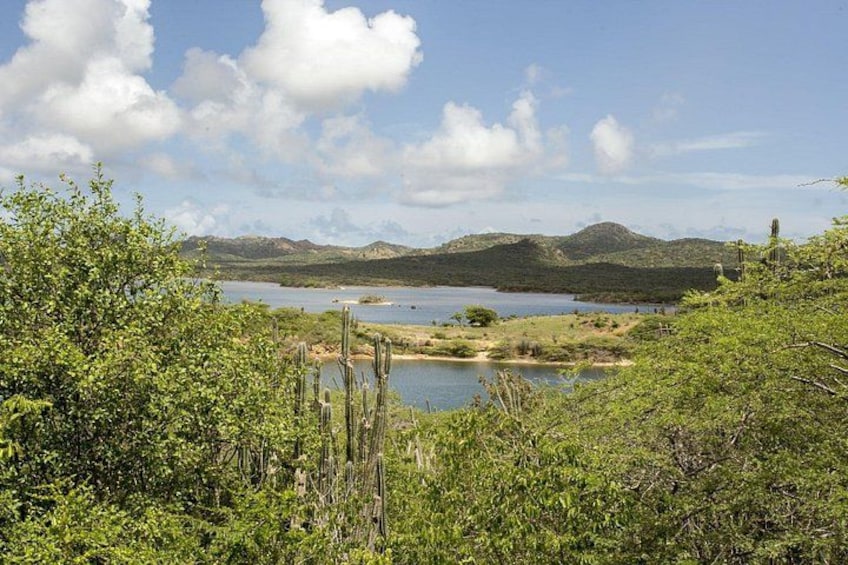 A lake surrounded by hills and sparse vegetation. 5