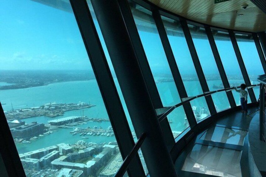 Private Tour: Auckland City SkyTower, Snowboarding & Jet Boat 3
