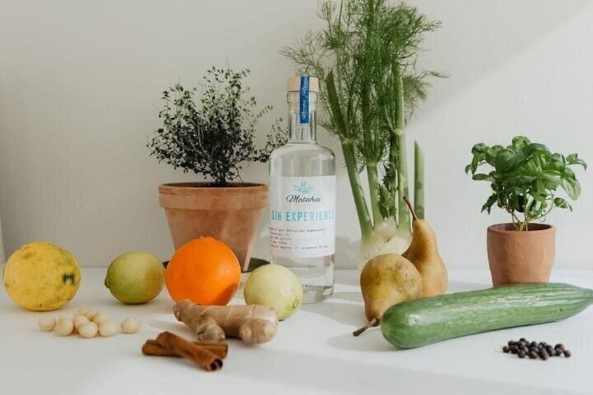The Gin Lab Experience 3