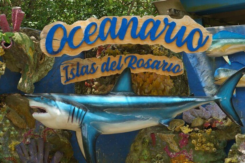 Boat Rental To The Rosario Islands Up To 13 People 3