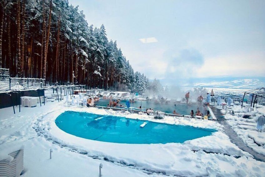 A snow-covered outdoor swimming pool surrounded by trees. 1
