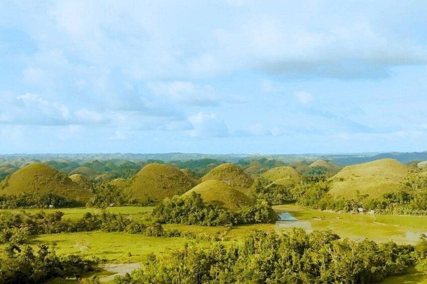 A smiling couple poses at the Chocolate Hills viewpoint with the iconic hills and a blue sky as their scenic backdrop. 3