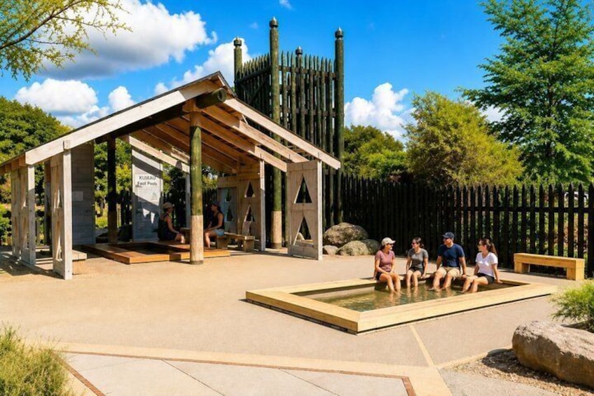 Te Puia Geothermal, Kiwi and Māori Art 2