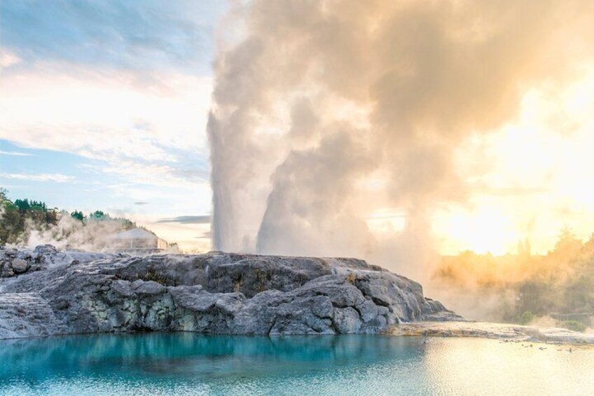 Te Puia Geothermal, Kiwi and Māori Art 1