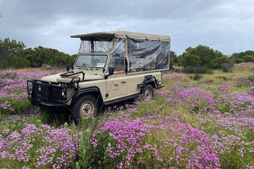 Our vehicle can be closed off for rainy days 2