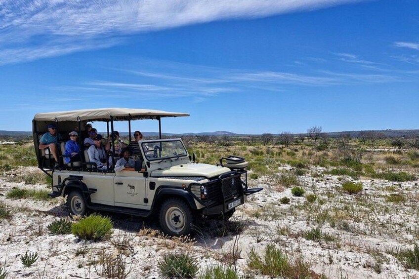 Een safariwagen met passagiers rijdt over droog, zandachtig terrein met schaarse begroeiing onder een heldere lucht. 5