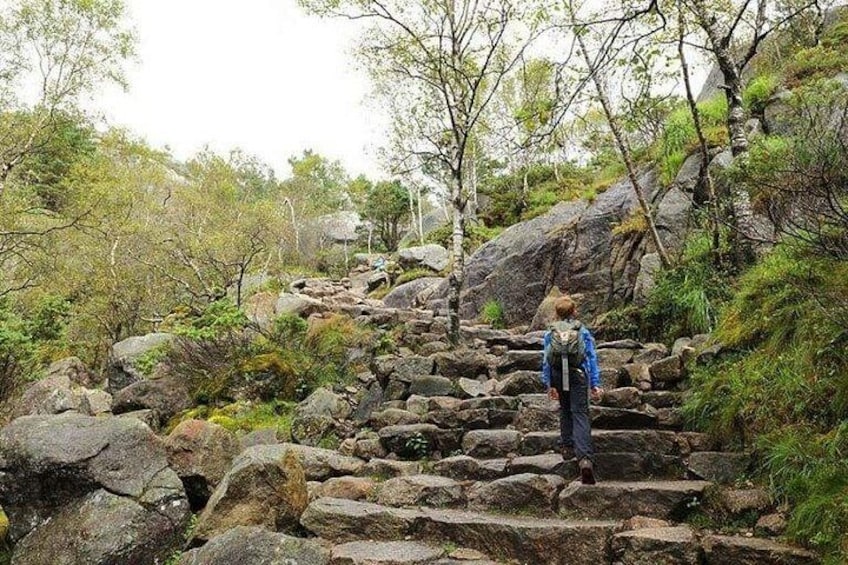 Una persona che fa trekking su un terreno roccioso, con alberi e arbusti. 1