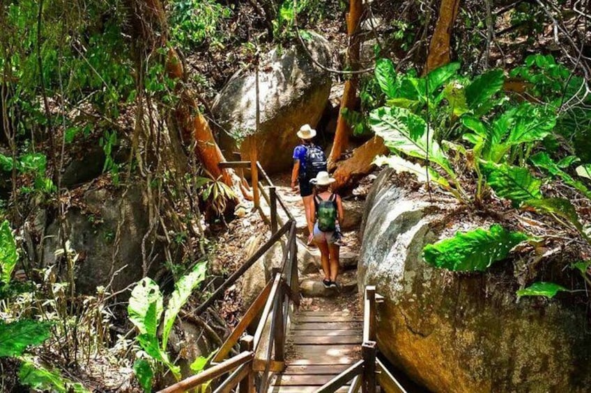 A wooden bridge in a forested area with hikers. 2