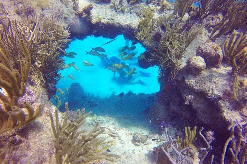 An underwater scene with a clear blue pool surrounded by coral and marine life. 3