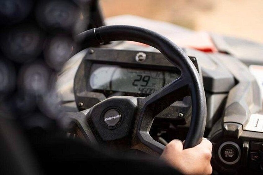 Porto Santo Buggy Tour 90 Minutes of Adventure 4