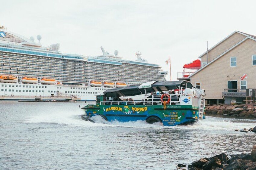 Ein grünes und blaues Boot namens 'Harbour Hopper' bewegt sich auf dem Wasser, im Hintergrund ein großes Kreuzfahrtschiff. 3