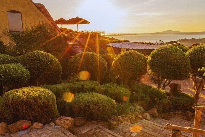 Mudbrick Vineyard Views 3