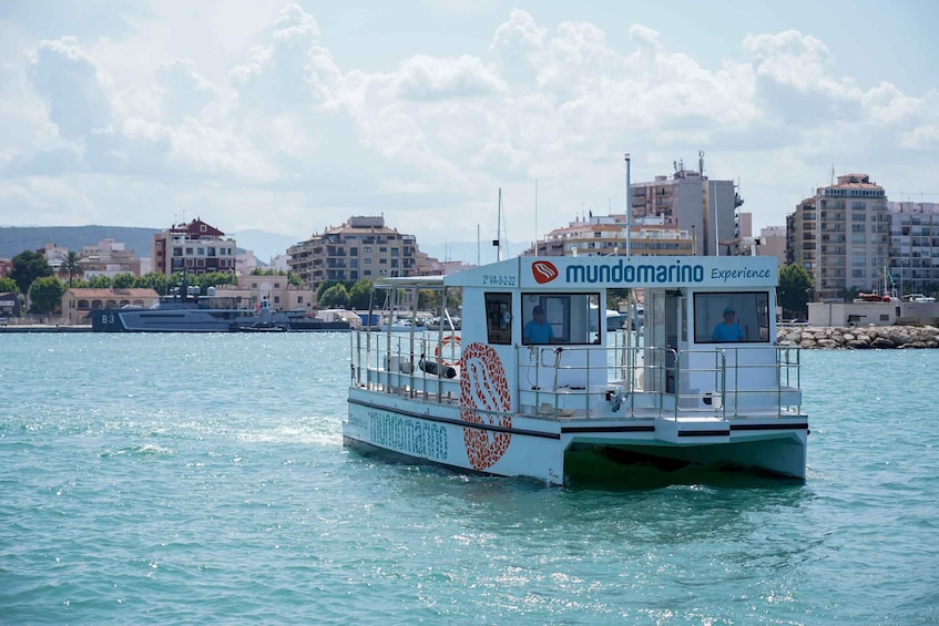 Picture 3 for Activity Altea: Boat Tour with Sunset Option 5