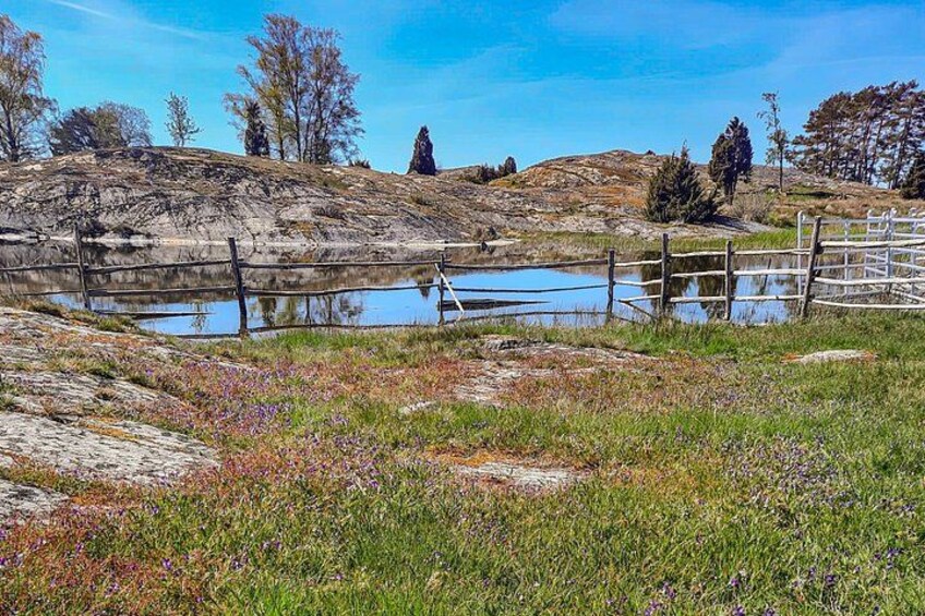 A rocky landscape with a pond, a wooden fence, and sparse vegetation. 3