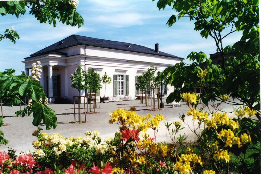 A classical building with a white facade and a dark roof, surrounded by vibrant yellow and pink flowers. 2