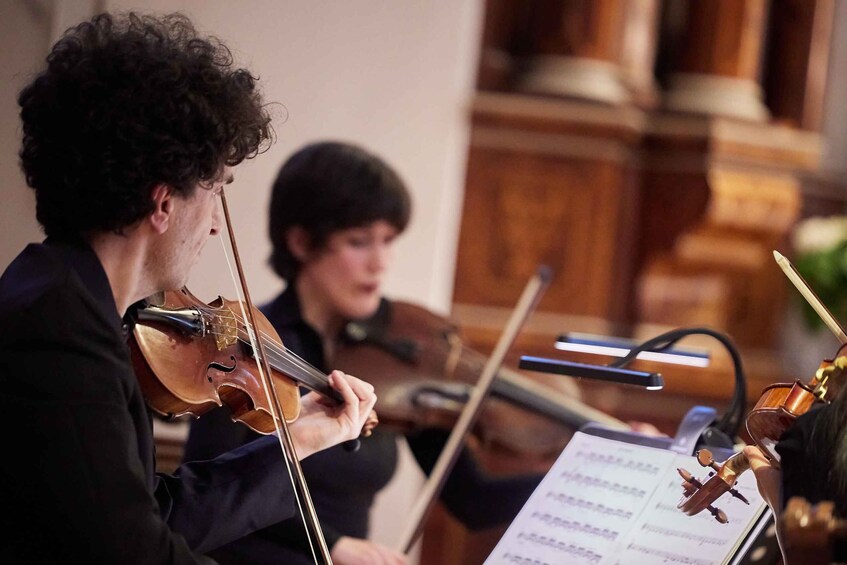 A violinist playing a violin. 5