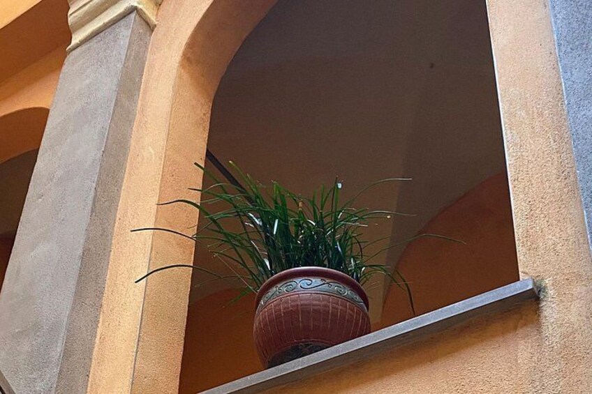 A potted plant in a red pot on a balcony with a beige wall and an archway. 3