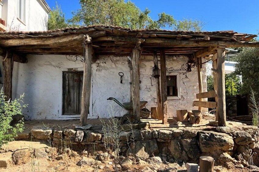 Old Village House 2