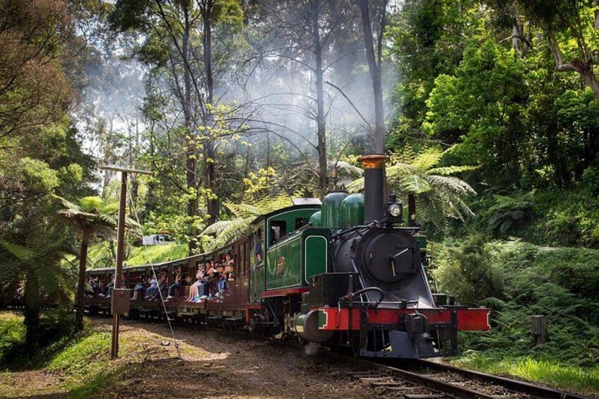 Puffing Billy Steam Train & Phillip Island Penguin Parade Tour 2