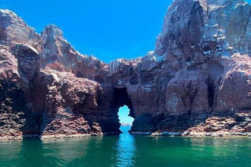 Tour Isla Espiritu Santo
and Balandra Baja Vice 3