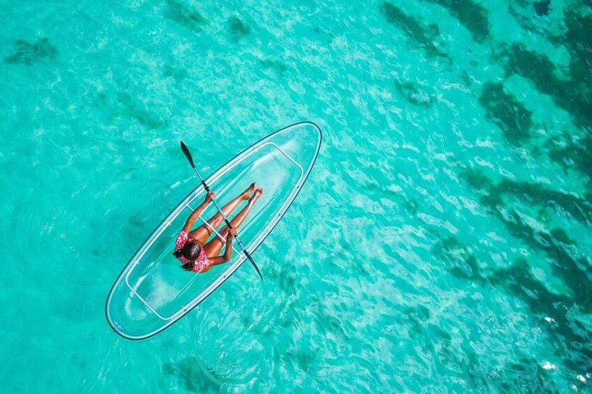 Clear Kayak Coral Reef Tour in Grenada 5