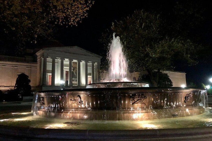 So many captivating sights at night! 4