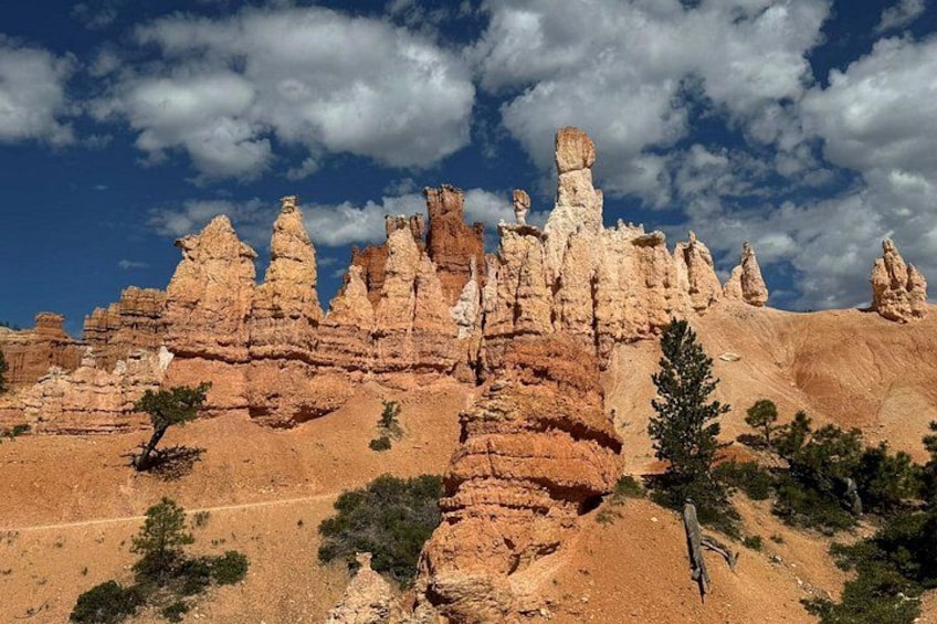 Bryce Canyon Private Tour 3