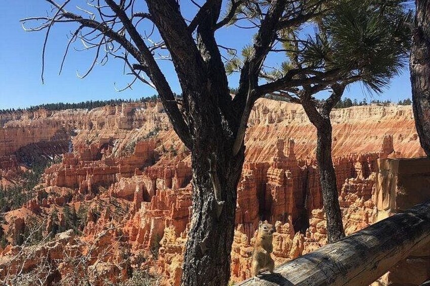 Bryce Canyon Private Tour 3