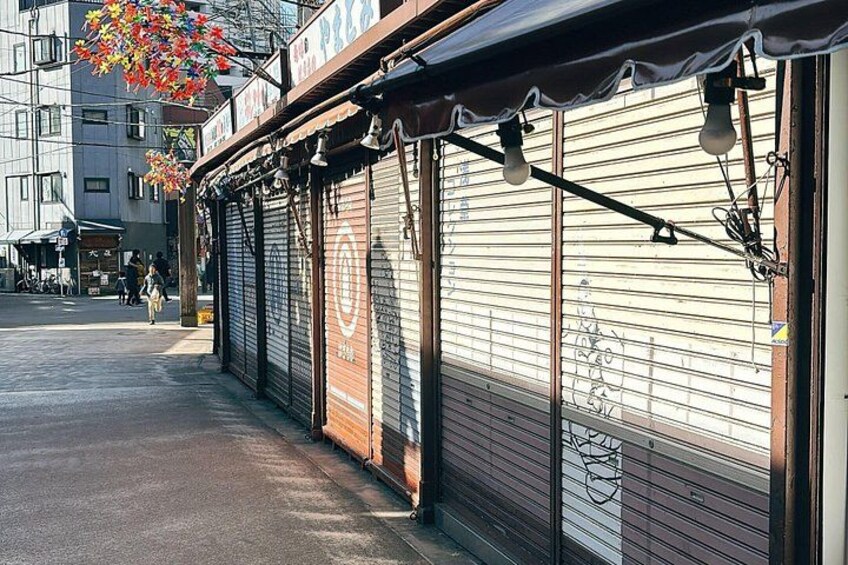 Asakusa History and Kappa Street (Kappabashi Dogugai) Tour 3