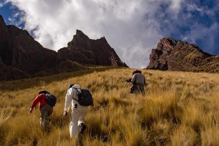 Full Day Private Tour in Pallay Punchu