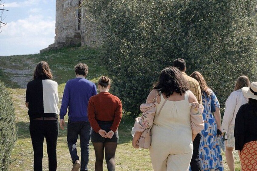 Siena: Chianti Wine Tour with Wine Tasting and Lunch 2