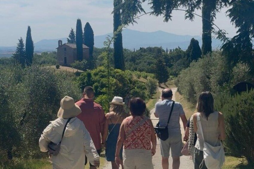 Siena: Chianti Wine Tour with Wine Tasting and Lunch 3