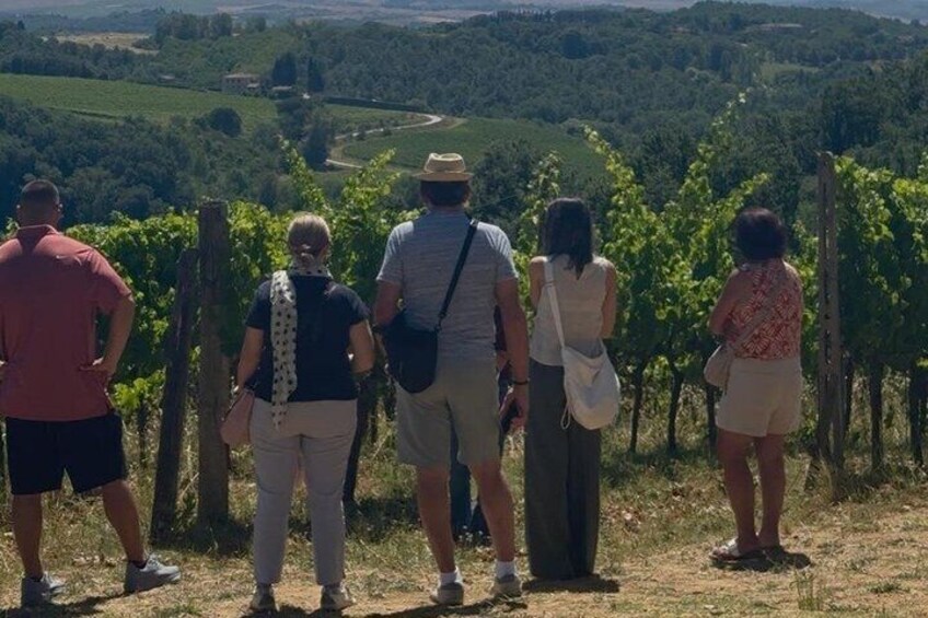 Siena: Chianti Wine Tour with Wine Tasting and Lunch 3