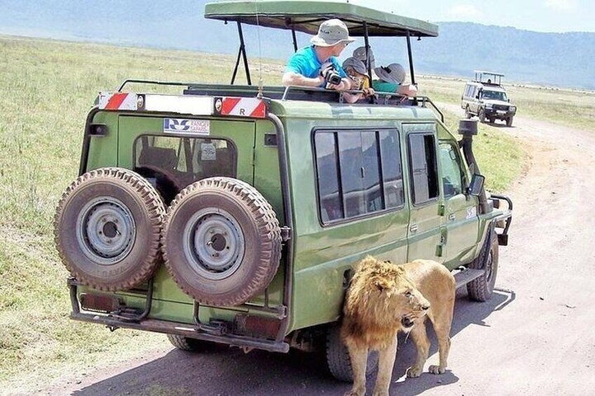 9 Day's Migration Safari 2