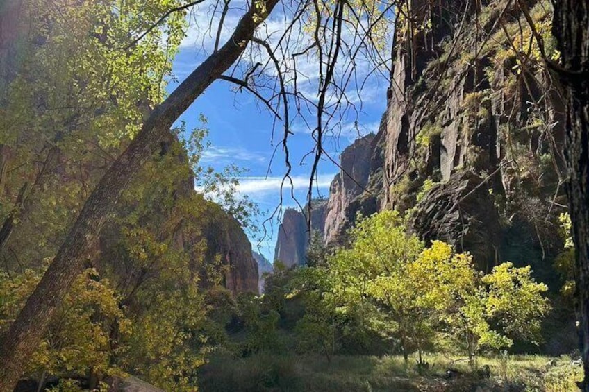 A canyon with trees and rocky cliffs. 2
