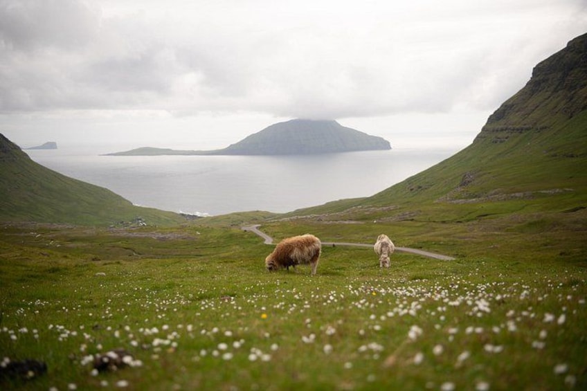 Norðadalsskarð 4