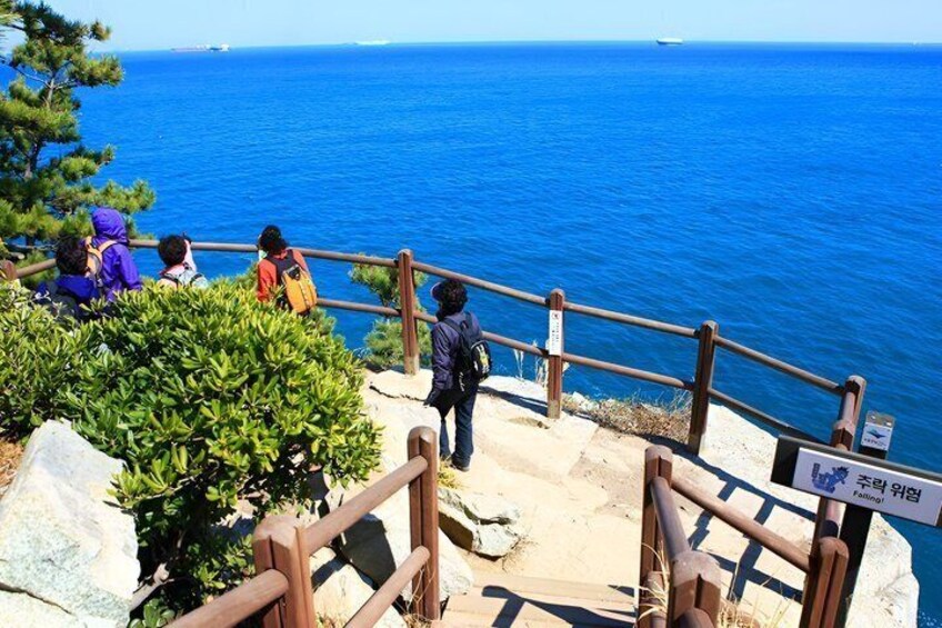 Zona costera con una escalera de madera que desciende hacia el mar, rodeada de vegetación y un cielo azul despejado. 2