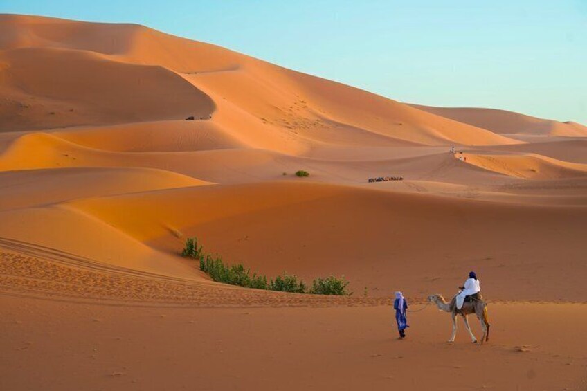 A desert landscape with sand dunes and a camel. 1