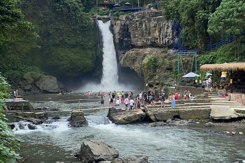 Koi Photo Boat, Bali Swing, Monkey Forest, & Tegenungan Waterfall 4