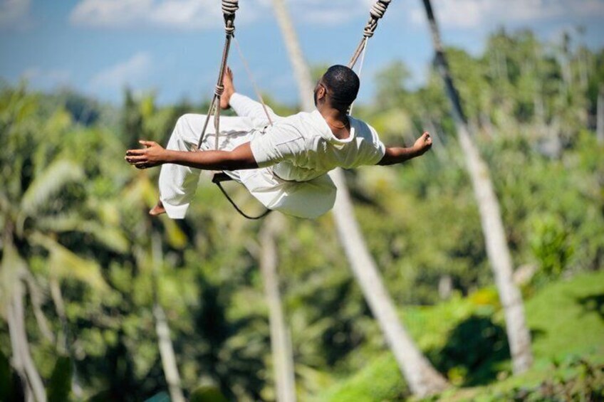 Koi Photo Boat, Bali Swing, Monkey Forest, & Tegenungan Waterfall 2