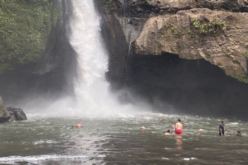 Koi Photo Boat, Bali Swing, Monkey Forest, & Tegenungan Waterfall 3