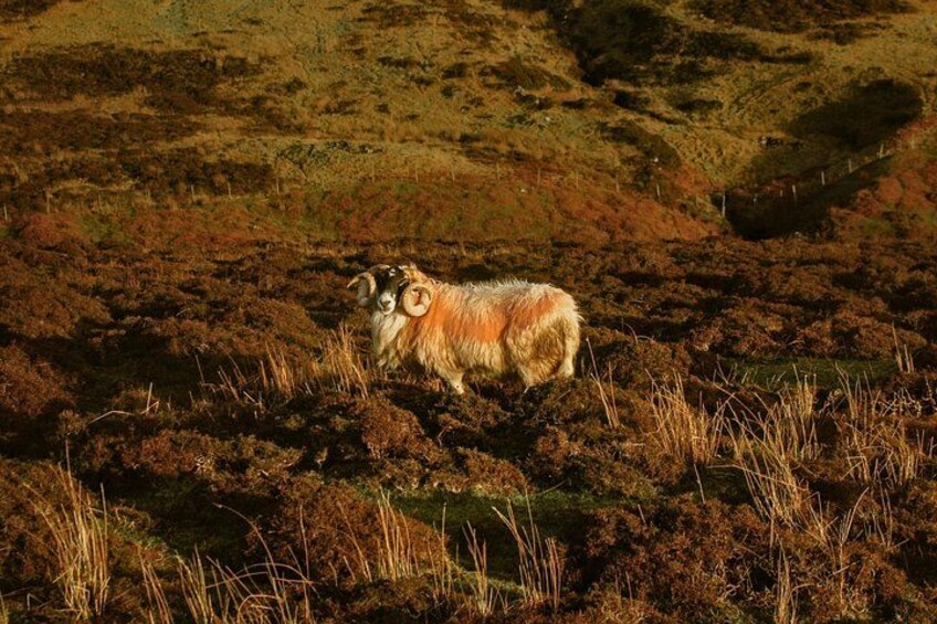 Discover the Isle of Skye’s hidden gems! 3