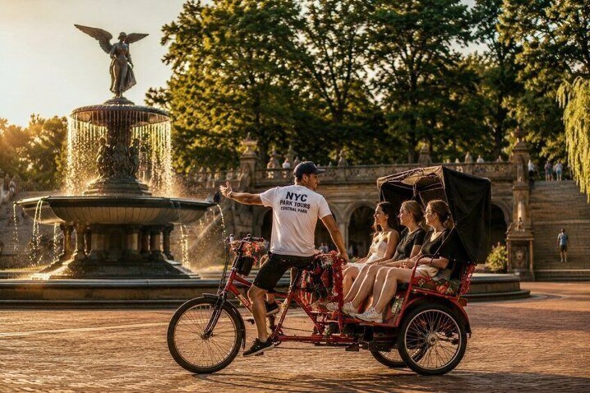 Central Park Guided Tours Pedicab 2