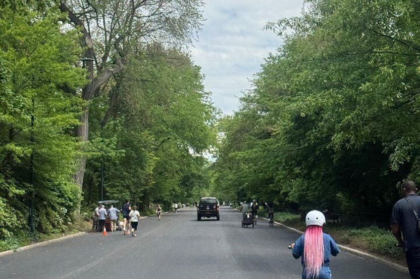 Central Park Guided Tours Pedicab 3