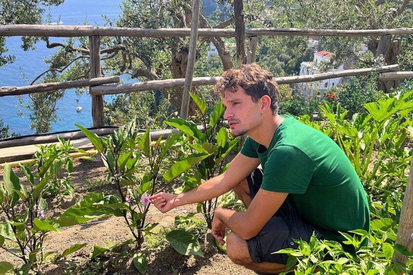 A person crouching near plants, with a wooden fence and trees in the background. 3