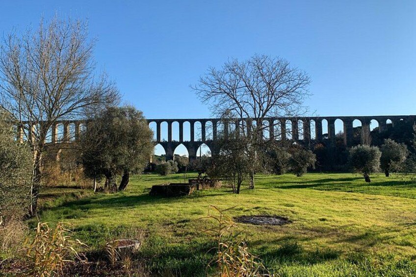 Un viaduc enjambant un champ verdoyant, avec des arbres et un ciel dégagé. 3